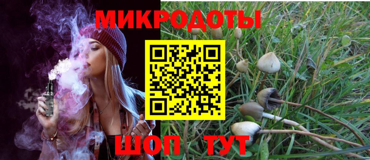 Галлюциногенные грибы Cubensis Чебаркуль